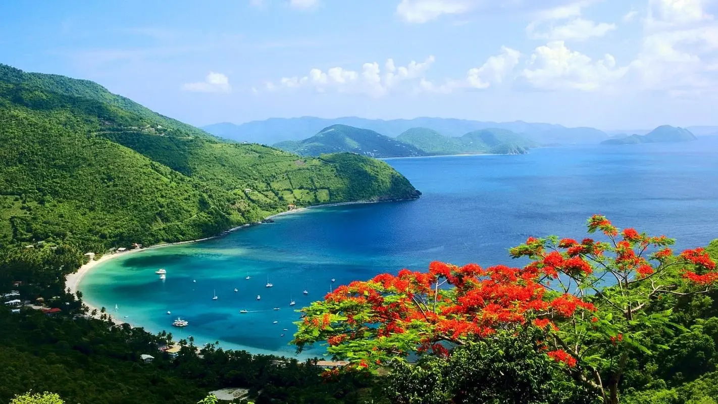 高端高端